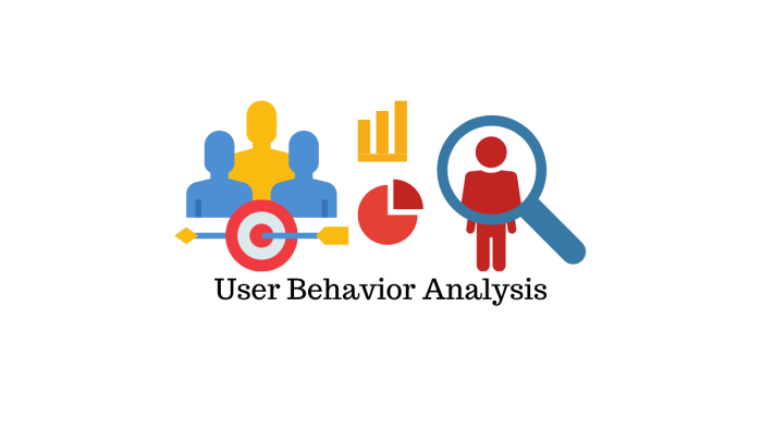 User Behavior Analytics